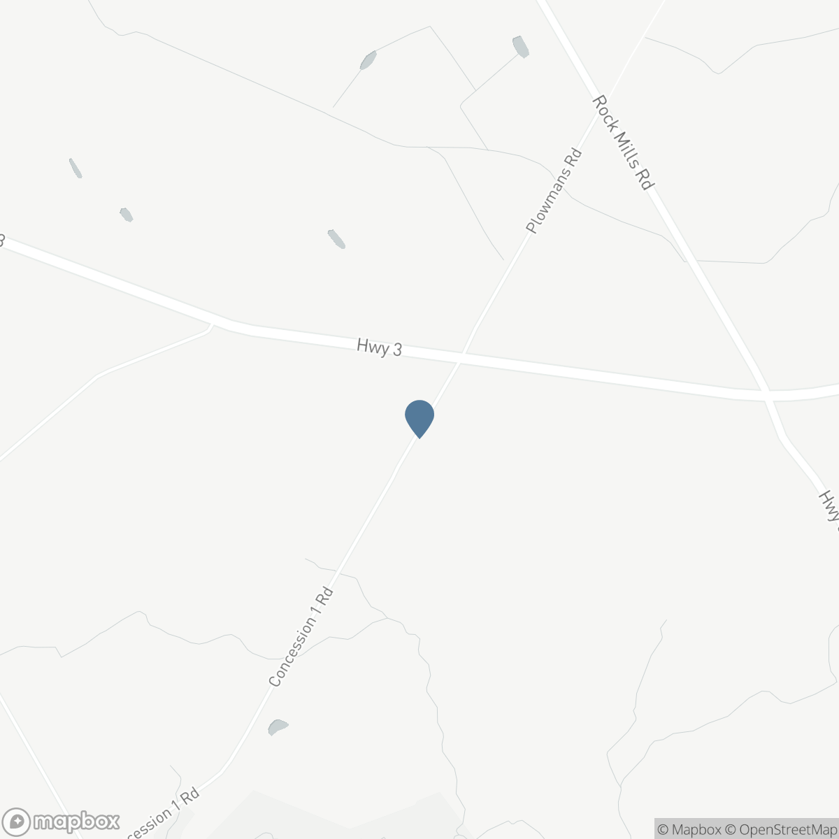1133 PLOWMANS LINE, Courtland, Ontario N0J 1E0